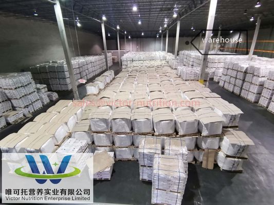 Xanthan Gum 200 Mesh per prodotti da forno di cui al n. CAS 11138-66-2 in Ingrediente alimentare