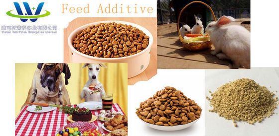 Supplemento per mangimi per animali a richiesta personalizzata 98,5% L-lisina HCl