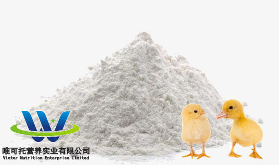 Grado per mangimi HCl sulfato L lisina 98,5% 70% Grado additivo per mangimi su richiesta personalizzata