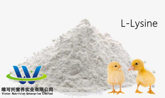 Grado per mangimi HCl sulfato L lisina 98,5% 70% Grado additivo per mangimi su richiesta personalizzata