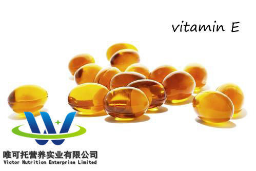 Olio di vitamina E naturale 98% Dl-Alpha-Tocopheryl Acetate Ve per la composizione nutritiva