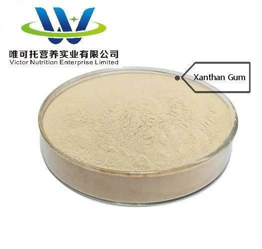 Xanthan Gum 200 Mesh per prodotti da forno di cui al n. CAS 11138-66-2 in Ingrediente alimentare