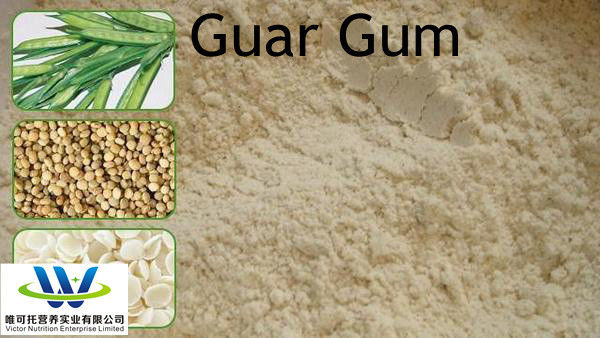 Gomma di guar per alimenti CAS 9000-30-0 con metodo di stoccaggio normale Durata di conservazione 12 mesi