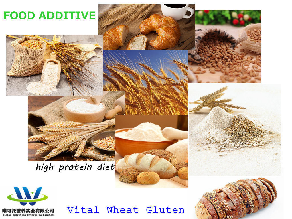 Personalizzazione Vital Wheat Gluten CAS 8002-80-0 per la personalizzazione e la certificazione GMP